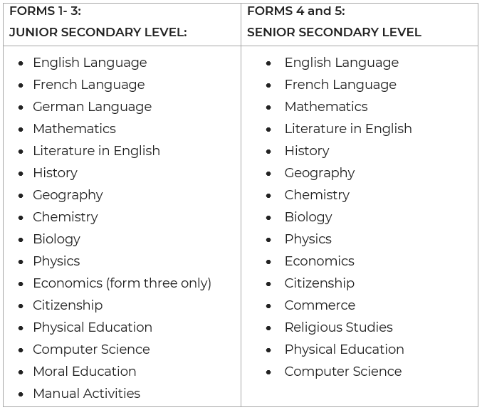 L’attribut alt de cette image est vide, son nom de fichier est FIRST-CYCLE-CURRICULUM-AND-PROGRAMS-3.png.