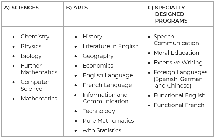 L’attribut alt de cette image est vide, son nom de fichier est SCND-CYCLE-CURRICULUM-AND-PROGRAMS.png.